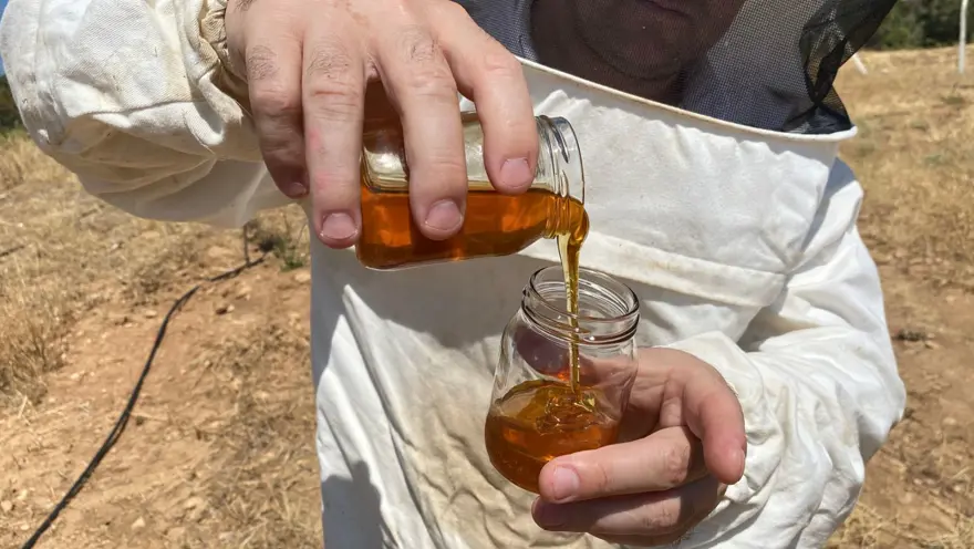 Dünyanın en iyisini Eskişehir'de üretti: 2 bin 925 prolin değeri var | Ağaçhisar Bal