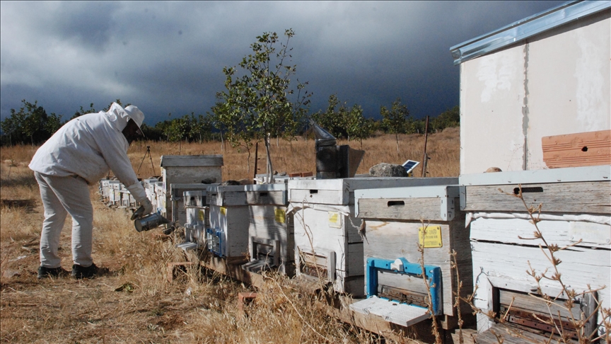 Ürettiği yüksek kaliteli bal için en erken 6 ay sonrasına sipariş alıyor | Ağaçhisar Bal